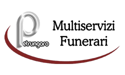 Multiservizi SRL logo